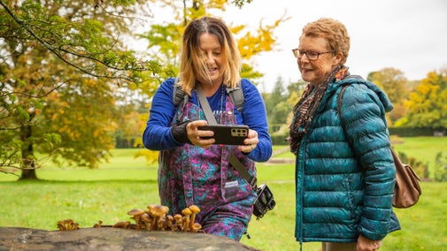 Visitor photographing fungi in October at Dyffryn Gardens, Vale of Glamorgan, South Wales
